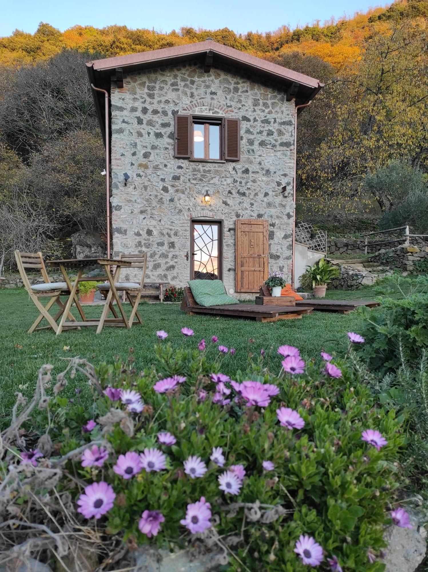 Il Nemus Agriturismo Villa Nemi Esterno foto