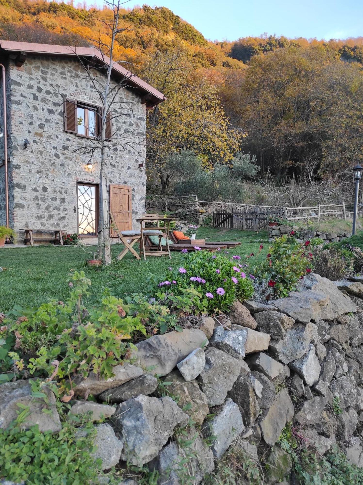 Il Nemus Agriturismo Villa Nemi Esterno foto